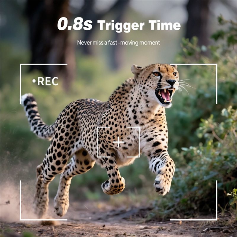 Outdoor Trail Hunting Camera 1 - đánh giá và giá Trail Camera Infrared