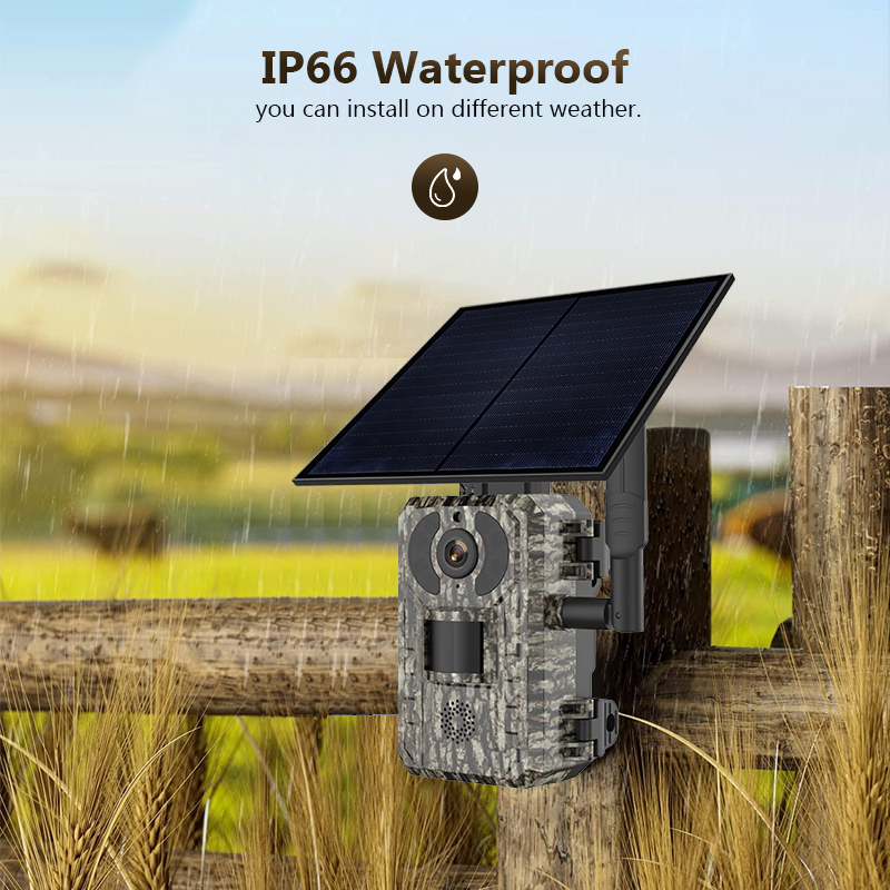 4G 4MP Outdoor Wildlife Huntin - đánh giá và giá Hunting Outdoor Game