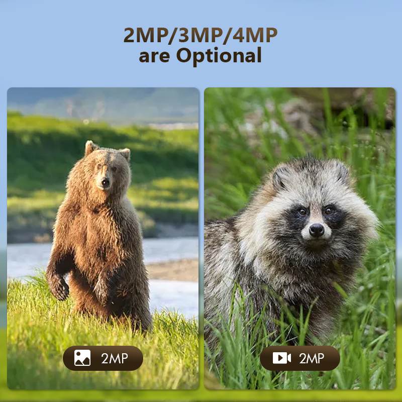 4G 4MP Outdoor Wildlife Huntin - đánh giá và giá Hunting Outdoor Game